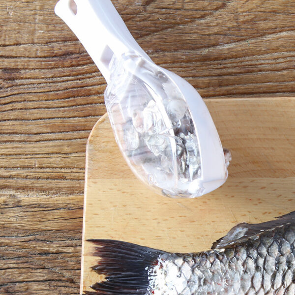 Fish Skin Brush Scraping - Image 7